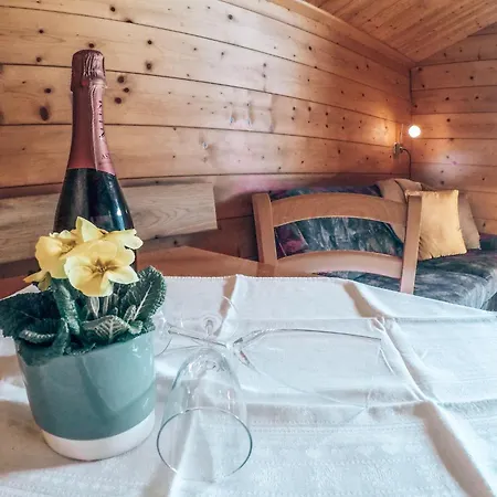 Appartement Cozy Close To The Slopes Kleinarl