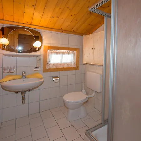 Cozy Close To The Slopes Kleinarl